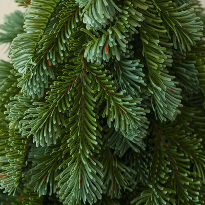 Novelson Mini Christmas Tree - Elegant Desktop Decoration