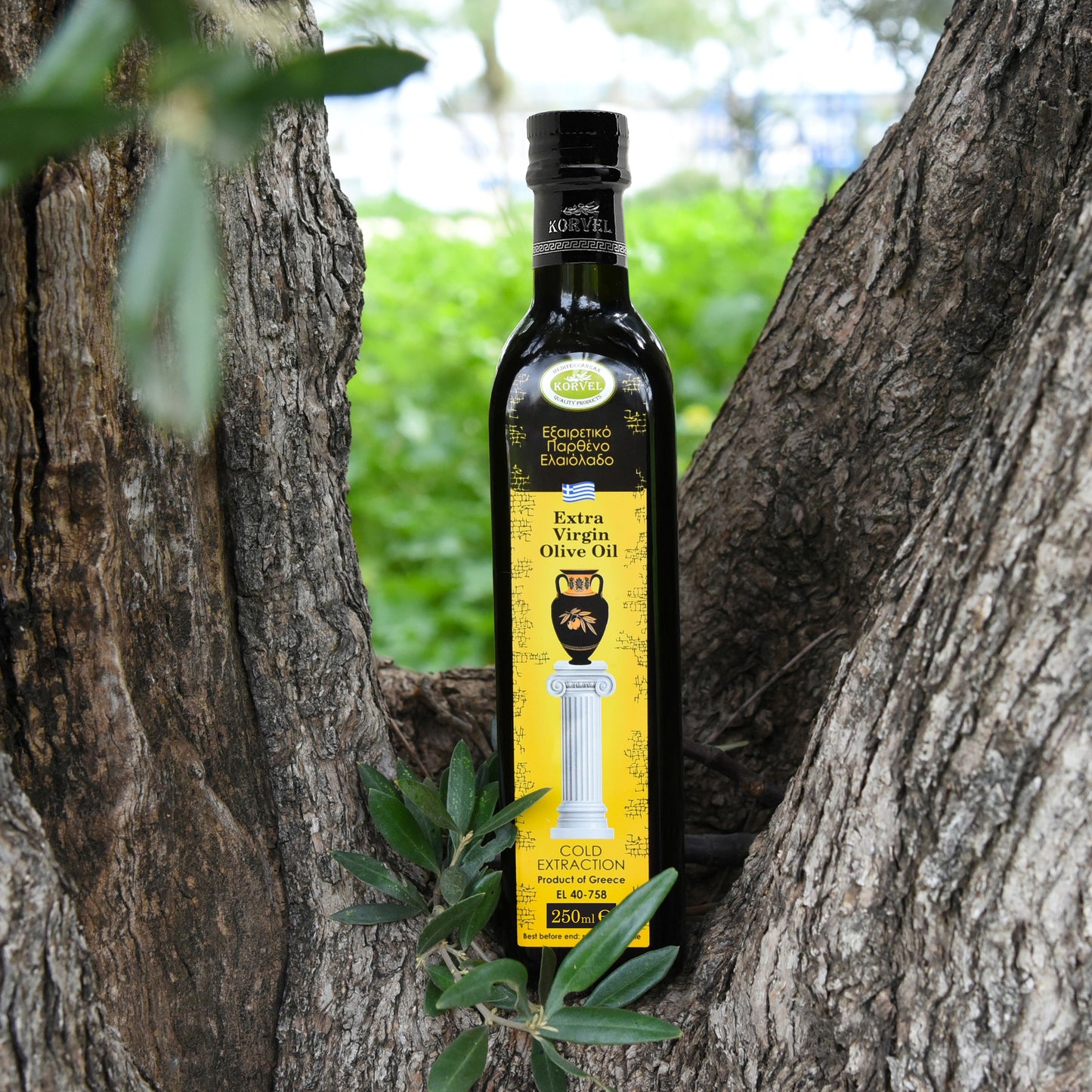 KORVEL Greek Extra Virgin Olive Oil, 8.45 FL OZ - Korvel-Food Inc.