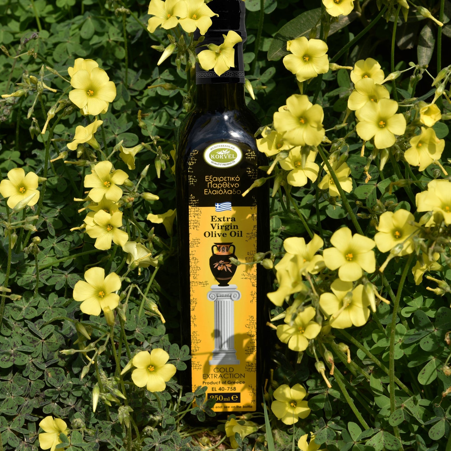 KORVEL Greek Extra Virgin Olive Oil, 8.45 FL OZ - Korvel-Food Inc.