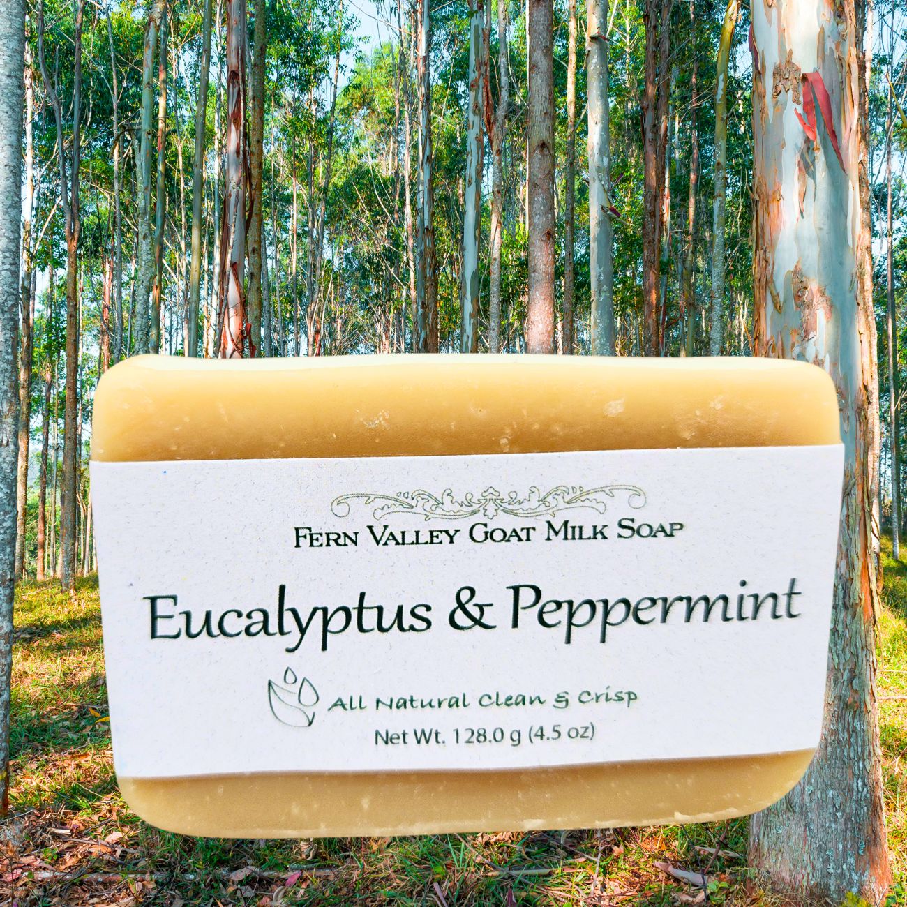 Handmade Goat Milk Soap | All Natural Eucalyptus & Peppermint Soap - Korvel
