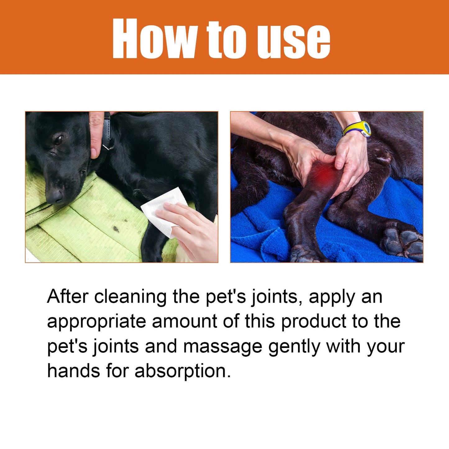 Pet Bee Venom Oil, Joint Care For Cats And Dogs Relieves Joint Pain For Pets Pet Care Water - Korvel