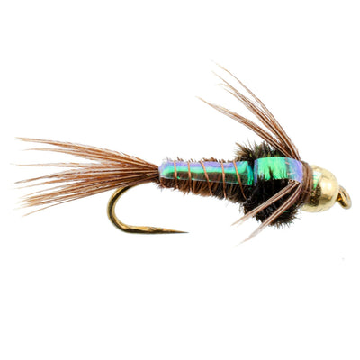 Premium Barbless Bead Head Pheasant Tail Nymph Flies - Size 12 (Pack of 6) - Korvel