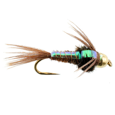 Premium Barbless Bead Head Pheasant Tail Nymph Flies - 1 Dozen Size 18 - Korvel