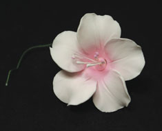 Flor de Fruta Individual - Rosa Grande (18 Piezas)
