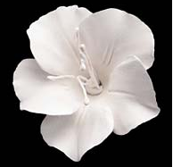 Flor de Fruta Individual - Blanco Grande (18 Piezas)