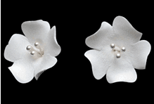 Flor de Fruta Individual - Blanca (110 Piezas)