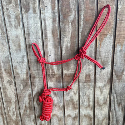 Premium Cowboy Knot Halter with 8' Lead Rope