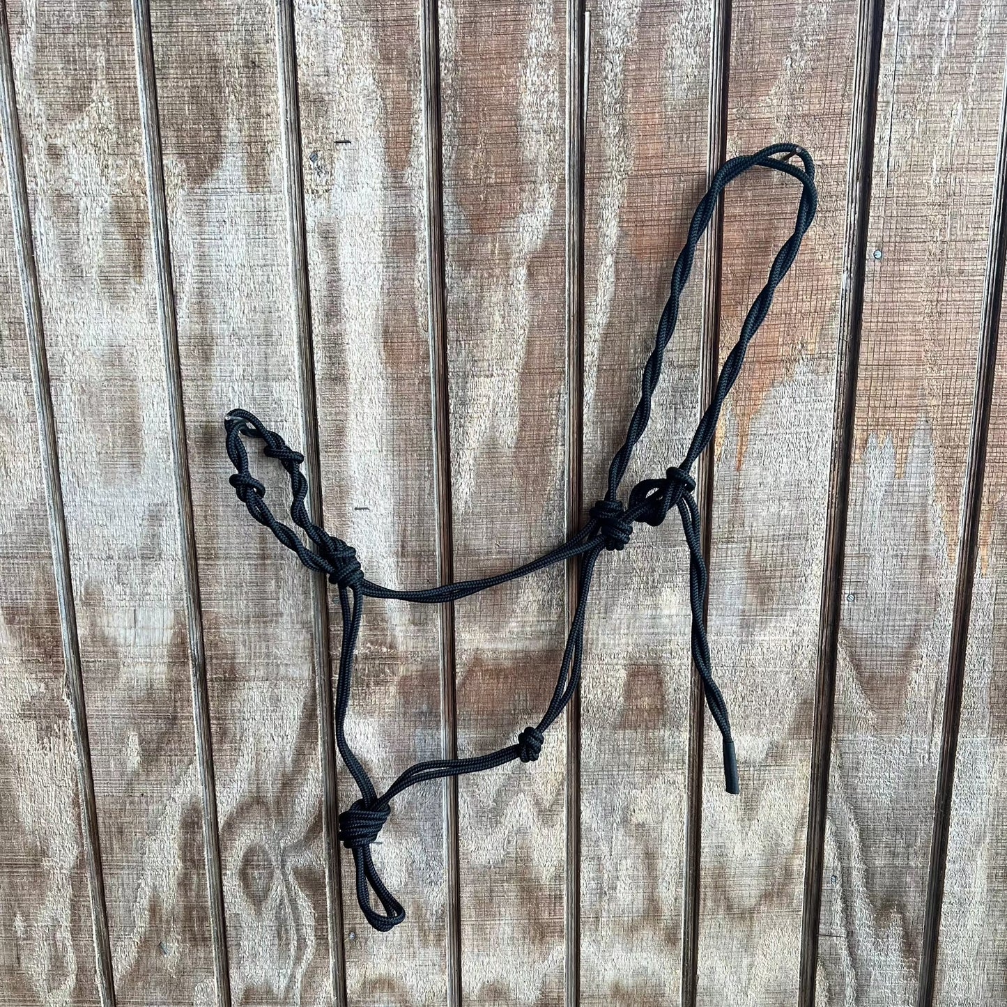 Premium Black Rope Halter for Training - Korvel