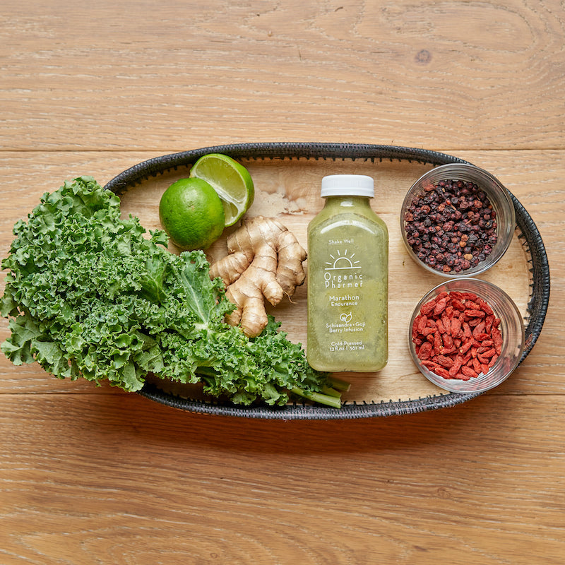 Marathon: Revitalizing Plant-Powered Protein Shake for Daily Energy - Korvel