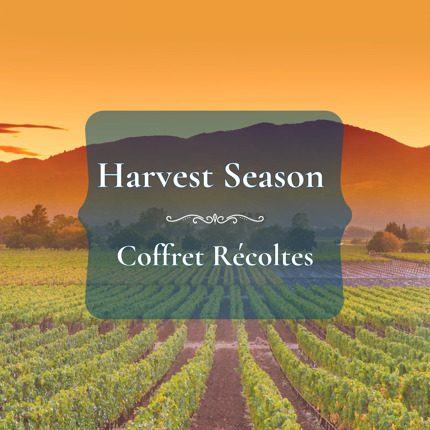 Maison Gabrielle Harvest Spice Box 2025
