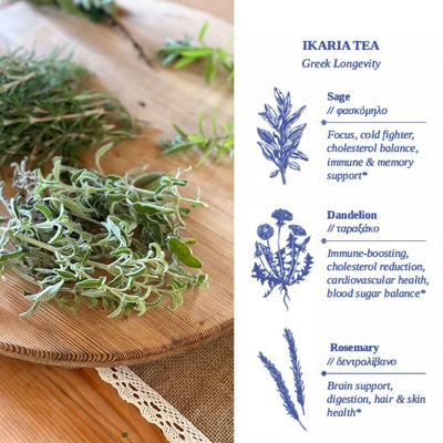Ikaria Tea – Blue Zone Herbal Blend with Dandelion, Sage & Rosemary - Korvel