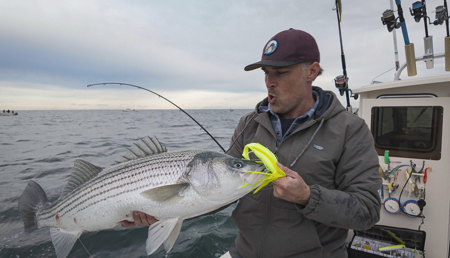 Magictail Striper Special Fishing Rods - Korvel