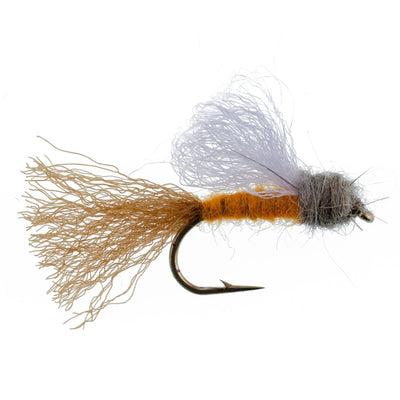 Mosca seca para trucha Caddis Emerger Orange Iris October Caddis - 6 moscas tamaño de anzuelo 8