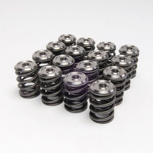 ACURA K20 Endurance Dual Spring S10099 de Ferrea