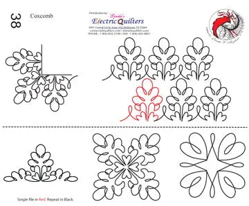 038 Coxcomb & Blocks Pantographe par Linda V. Taylor