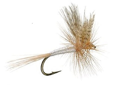 Premium Barbless Light Cahill Dry Flies - Set of 6 Size 12 for Trout Fishing - Korvel