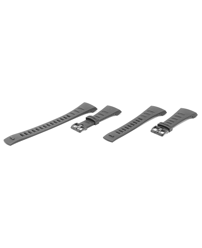 Premium Coliseum Watch Bands - Large Size - Korvel