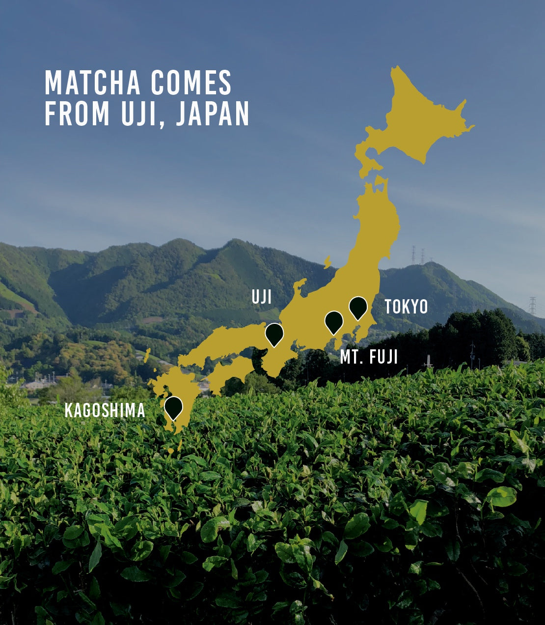 Supreme Matcha - Premium Japanese Green Tea