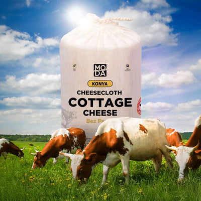 Requesón Moda – 500 g (17,6 oz)