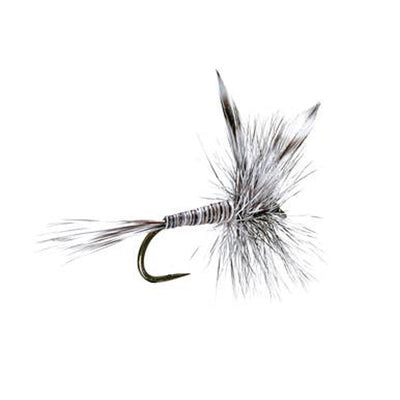 3-Pack Barbless Mosquito Dry Flies for Trout Fishing - Size 16 - Korvel