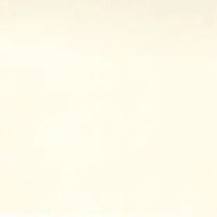 Tissu en coton muslin naturel large - 200 fils, 110" par yard