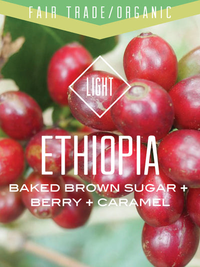 Organic Fair Trade Ethiopia Oromia Natural Coffee