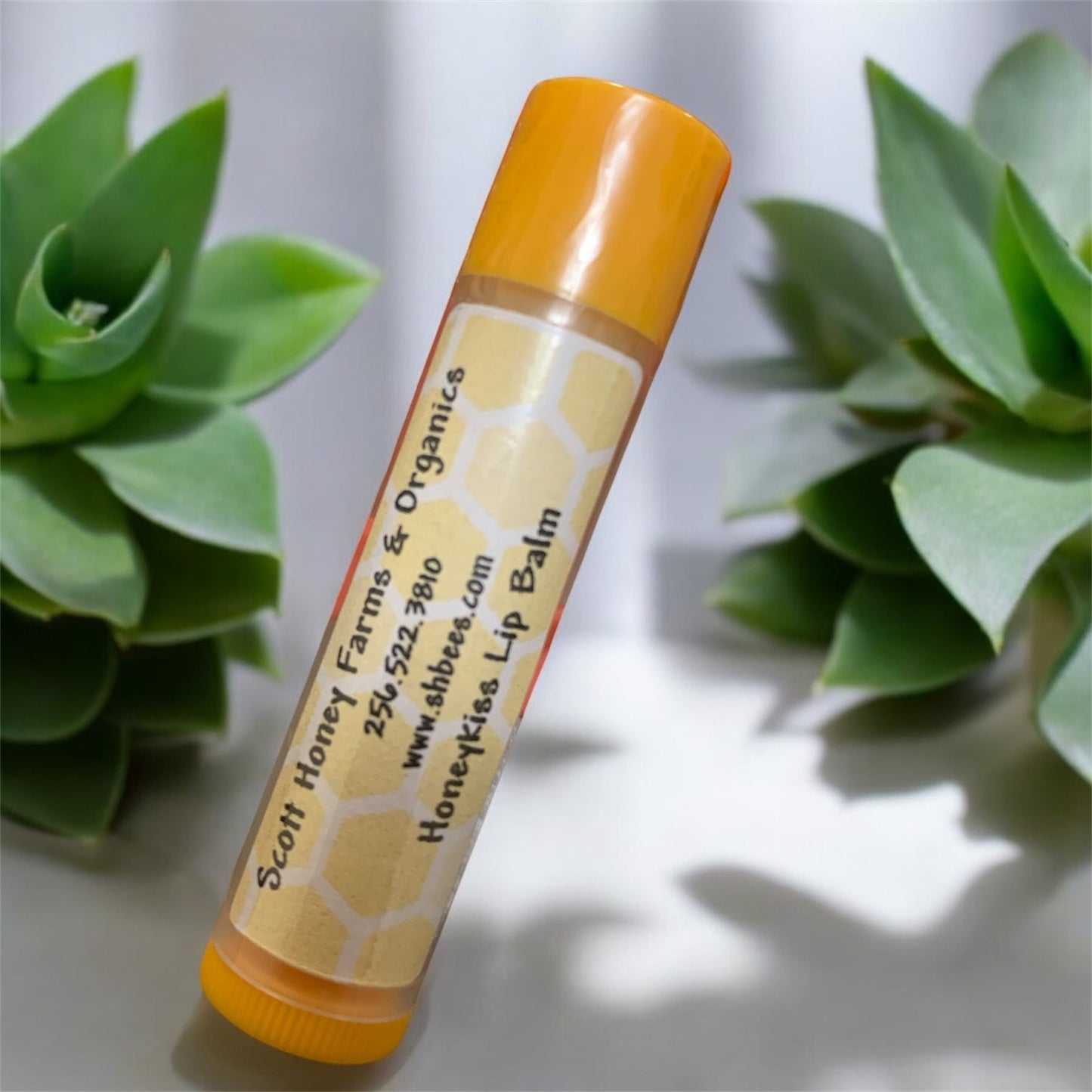 Baume à lèvres hydratant premium pour des lèvres douces
