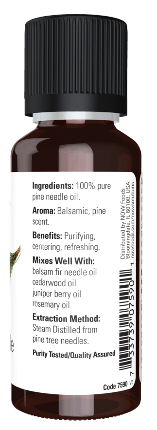 Pine Needle Essential Oil - Refreshing Aroma