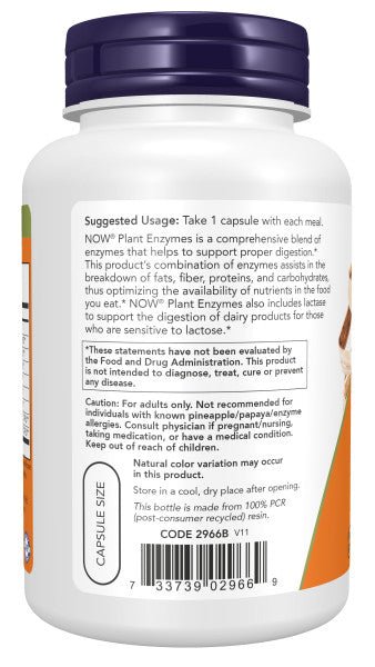 Plant Enzymes – Multi-Enzyme Digestive Support Blend