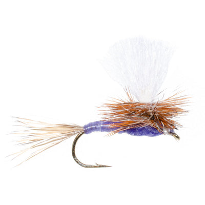 3 Pack Parachute Purple Haze Dry Fly - Size 16 - Korvel