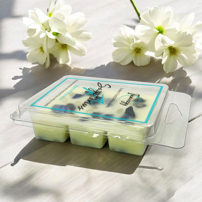 Sagittarius Zodiac Crystal-Infused Wax Melts