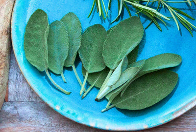 Premium Sage Powder - Culinary Herb & Natural Remedy - Korvel