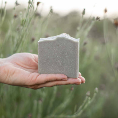 Salt + Sea Bar Handmade Tallow and Goat Milk Soap Bar - Korvel