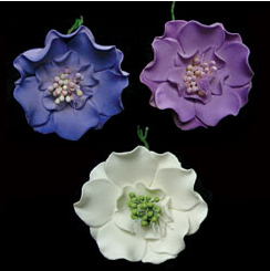 Scanbiosa Flowers - Assorted Colors (18 ct)