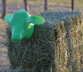 Durable Calf Head Dummy for Roping Practice - Korvel