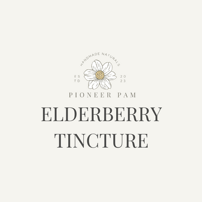 Elderberry Tincture: Immune System Support - Korvel