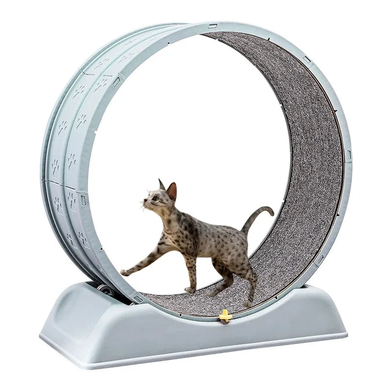Roue d'exercice silencieuse Purrfect Fit pour chat