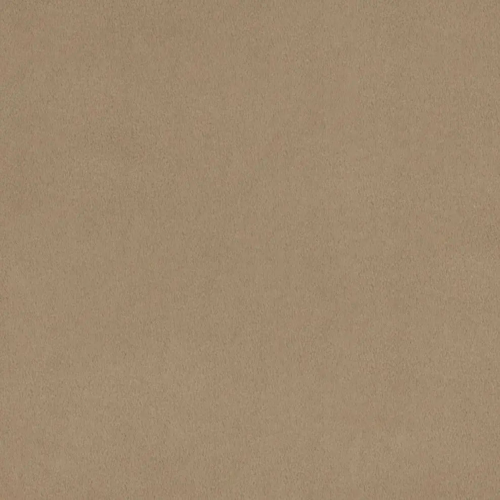Tissu Minky Uni Extra Large Simply Taupe Cuddle 3 par Yard