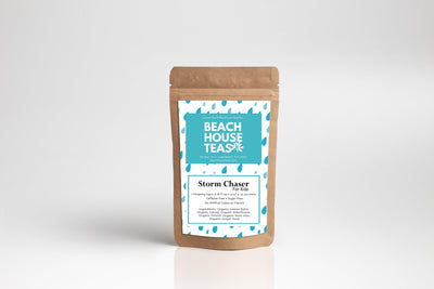 Storm Chaser For Kids - Korvel