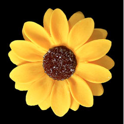Décorations comestibles Tournesol - 50 unités
