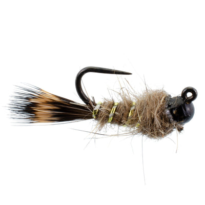 Premium Black Tungsten Bead Tactical Hare's Ear Euro Nymphing Flies - Set of 6 Size 12 - Korvel