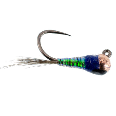 Premium Tungsten Bead Tactical Jig Nymphs - 12 Pack Size 18 for Euro Fishing - Korvel
