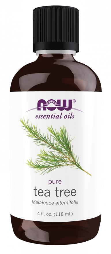 Pure Tea Tree Essential Oil for Natural Healing - Korvel