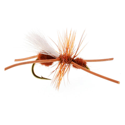 Mouches sèches Turcks Power Flying Ant Cinnamon Terrestrial Trout - Taille 12 (6 Mouches)