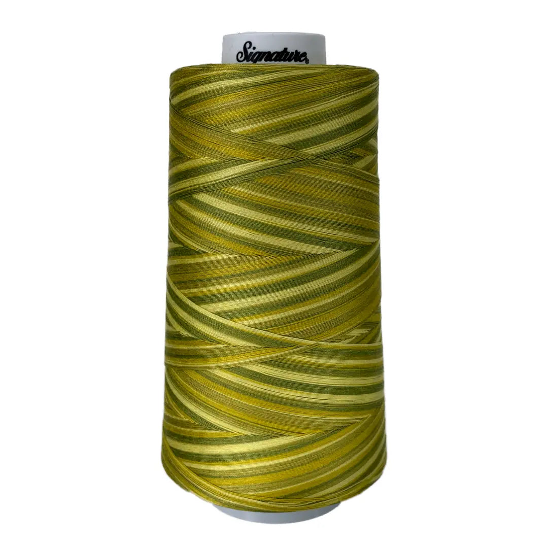 F150 Sun Lime Splash Cotton Variegated Thread
