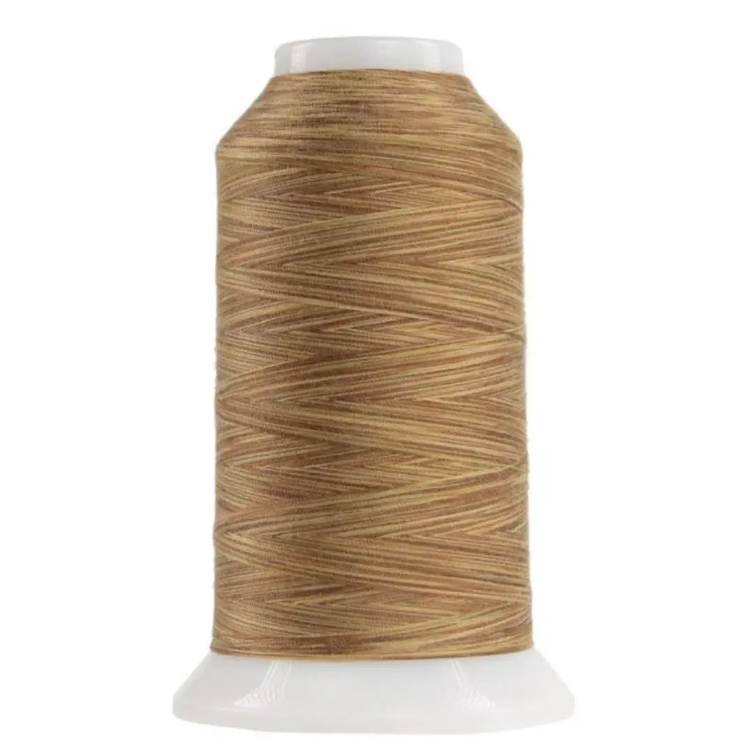 Hilo de poliéster variegado Palomino Omni - 2000 yardas