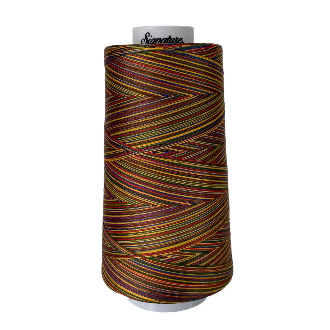 Hilo de Algodón Variegado M01 Brights Signature