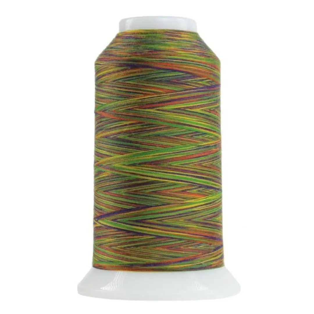 Zumba Omni Variegated Polyester Thread - 2000 Yards
