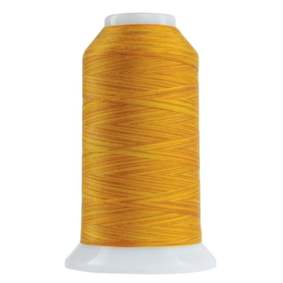 Zenith Omni Variegated Polyester Thread - 2000 Yards