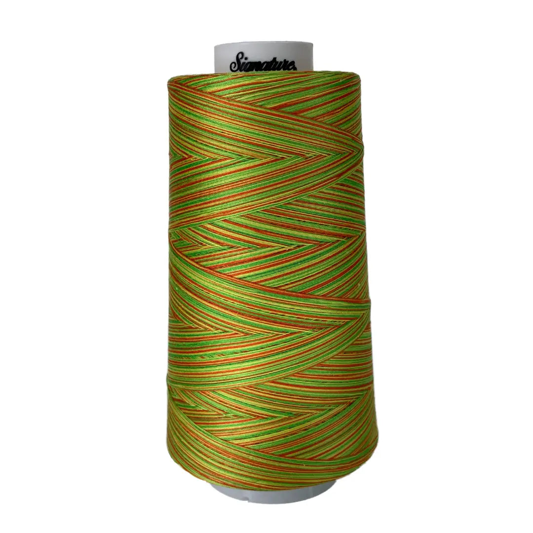 Fil Variegé en Coton Signature M10 Citrus